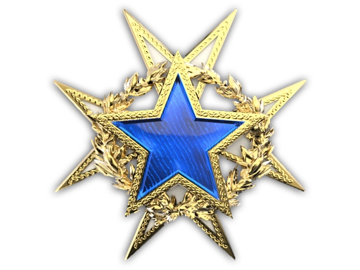 Service Medal