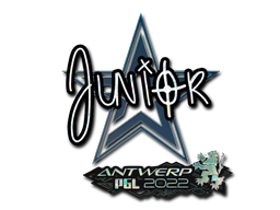 junior Stickers