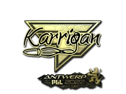 karrigan (Gold) | Antwerp 2022