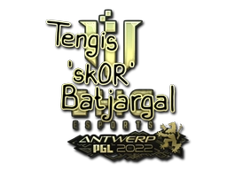 sk0R (Gold) | Antwerp 2022