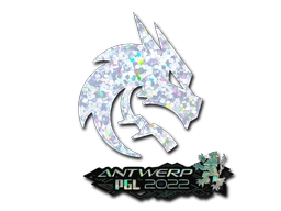 Team Spirit (Glitter) | Antwerp 2022