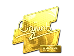 cajunb (Gold) | Atlanta 2017