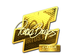 pashaBiceps (Gold) | Atlanta 2017