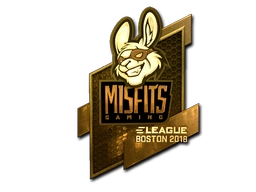 Misfits Gaming (Gold) | Boston 2018