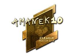 AmaNEk (Gold) | Boston 2018