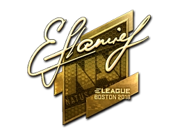 flamie (Gold) | Boston 2018