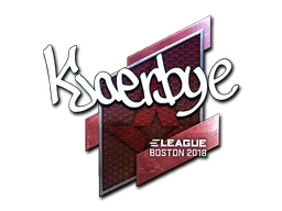 Kjaerbye (Foil) | Boston 2018