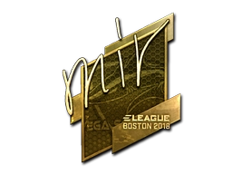 mir (Gold) | Boston 2018