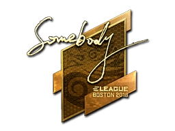 somebody (Gold) | Boston 2018