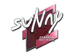 suNny | Boston 2018