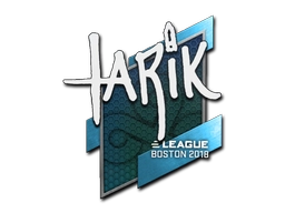tarik | Boston 2018