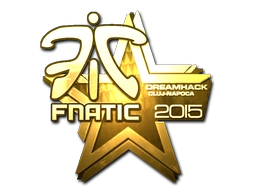 Fnatic (Gold) | Cluj-Napoca 2015
