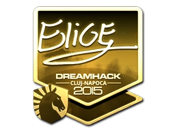EliGE (Gold) | Cluj-Napoca 2015