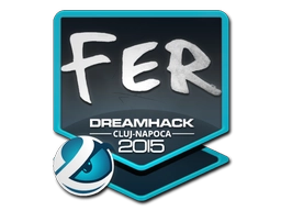 fer | Cluj-Napoca 2015