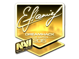 flamie (Gold) | Cluj-Napoca 2015