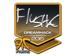 flusha | Cluj-Napoca 2015