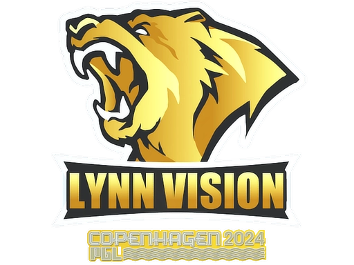 Lynn Vision