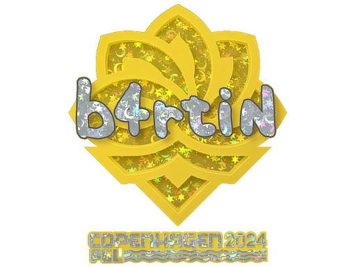 b4rtiN Stickers