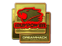 iBUYPOWER (Gold) | DreamHack 2014