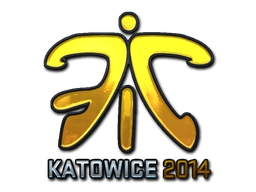 Fnatic (Foil) | Katowice 2014