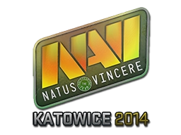Natus Vincere (Holo) | Katowice 2014