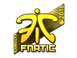 Fnatic (Gold) | Katowice 2015