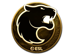 FURIA (Gold) | Katowice 2019