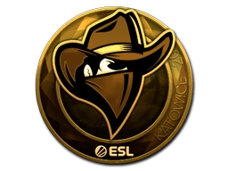 Renegades (Gold) | Katowice 2019