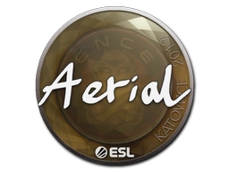 Aerial