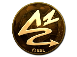 ANGE1 (Gold) | Katowice 2019
