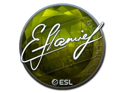 flamie (Foil) | Katowice 2019