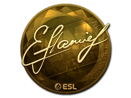 flamie (Gold) | Katowice 2019