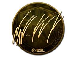 NAF (Gold) | Katowice 2019