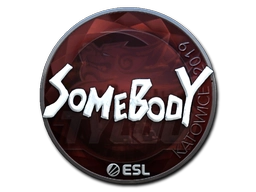 somebody (Foil) | Katowice 2019