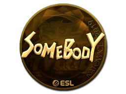 somebody (Gold) | Katowice 2019