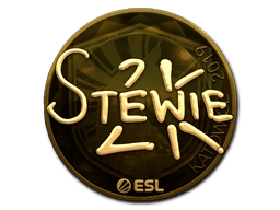 Stewie2K (Gold) | Katowice 2019