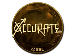 xccurate (Gold) | Katowice 2019