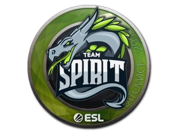 Team Spirit | Katowice 2019