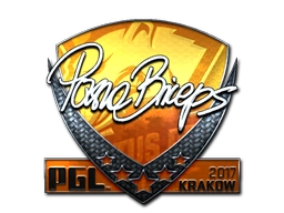 pashaBiceps (Foil) | Krakow 2017