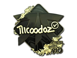nicoodoz (Gold) | Rio 2022