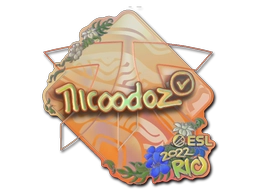 nicoodoz (Holo) | Rio 2022
