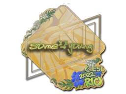 sdy (Holo) | Rio 2022