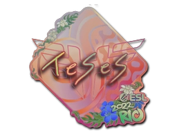 TeSeS (Holo) | Rio 2022
