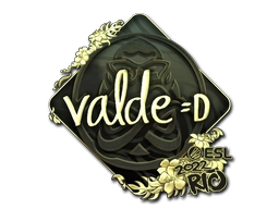 v4lde (Gold) | Rio 2022