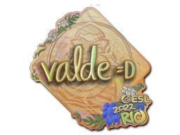 v4lde (Holo) | Rio 2022
