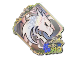 Team Spirit (Holo) | Rio 2022