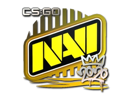 Natus Vincere | 2020 RMR