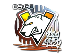 Virtus.pro (Foil) | 2020 RMR
