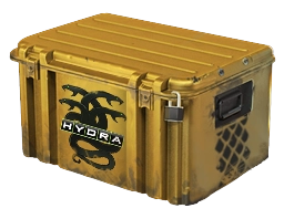 Operation Hydra Case