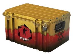 Cases